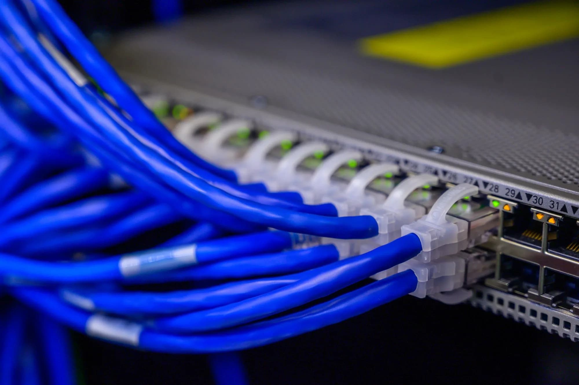 Detail of a connected data network